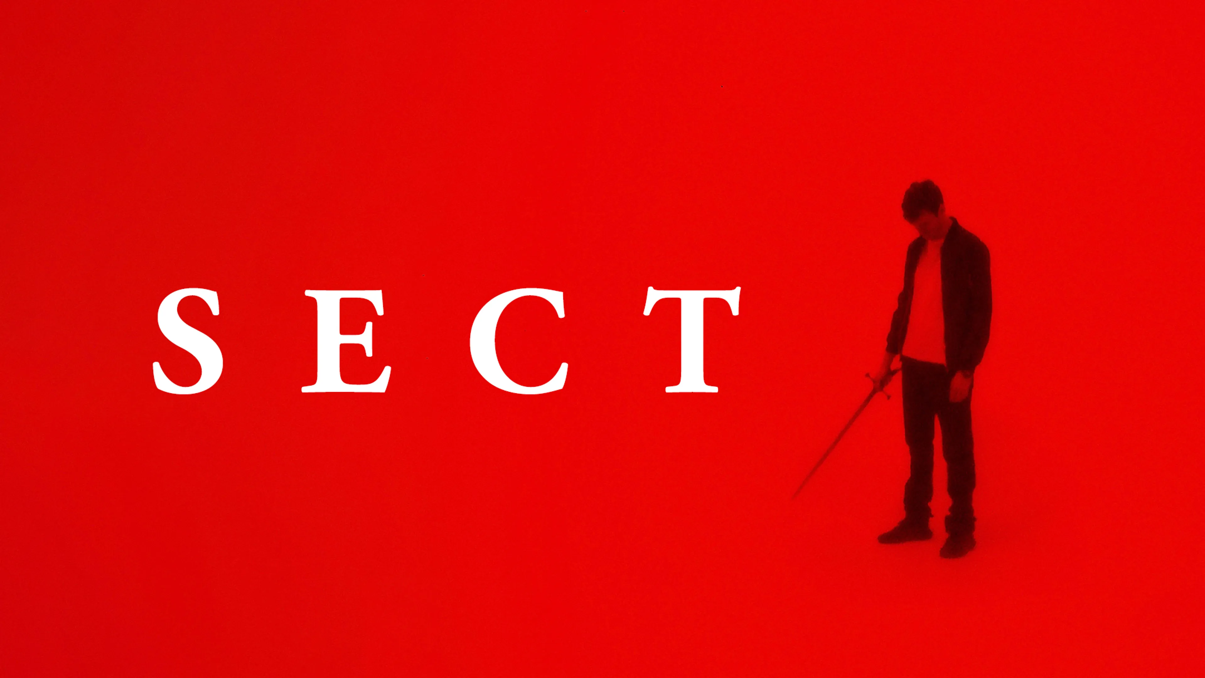 Sect poster
